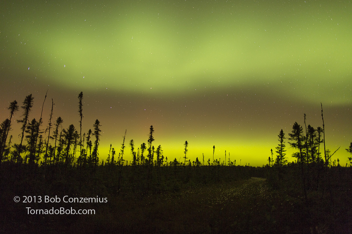 Nice Auroras
