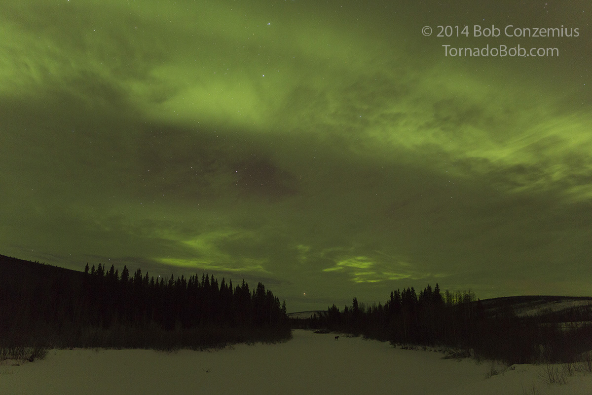Nice Auroras