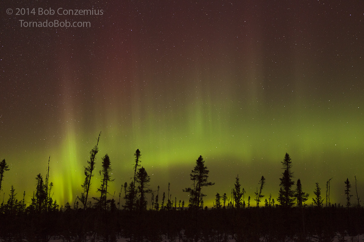 Nice Auroras