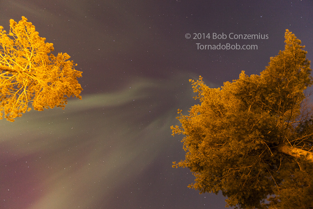 Nice Auroras