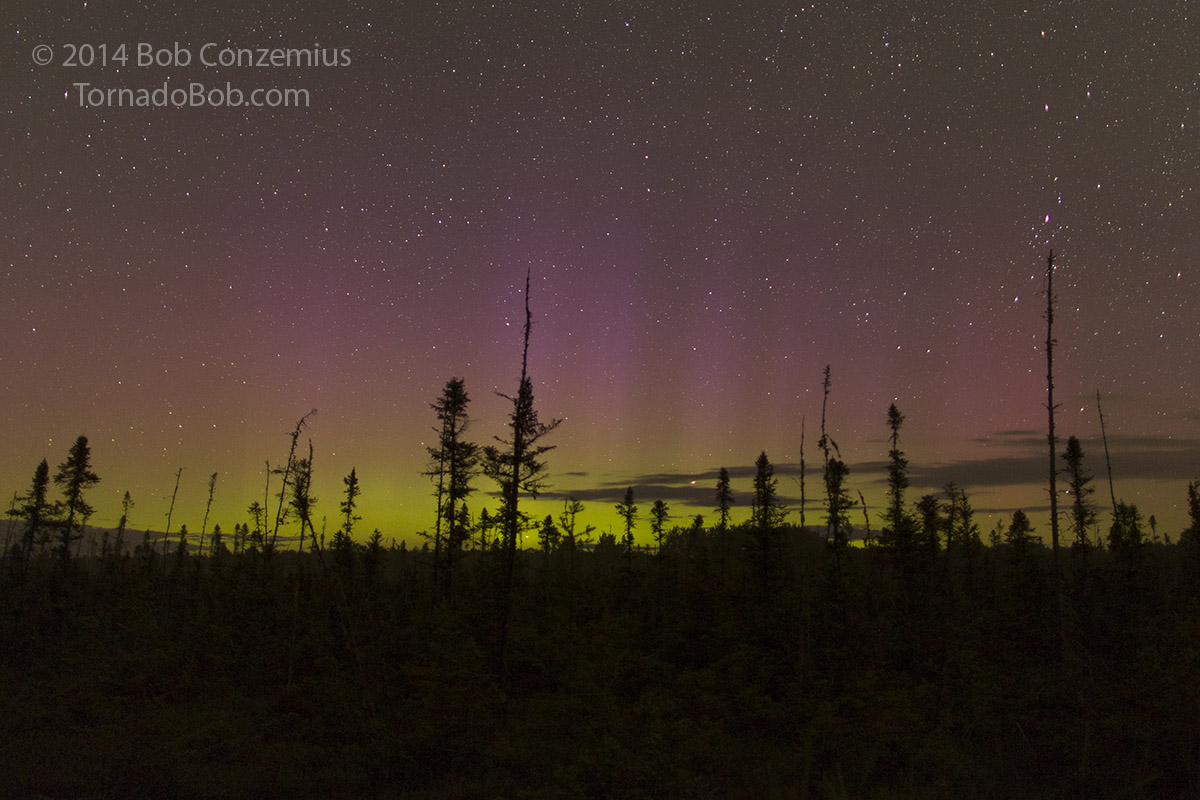 Nice Auroras