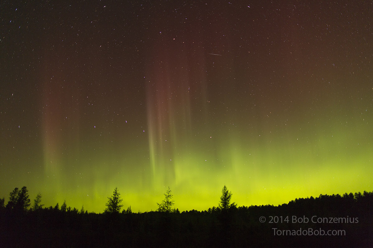 Nice Auroras