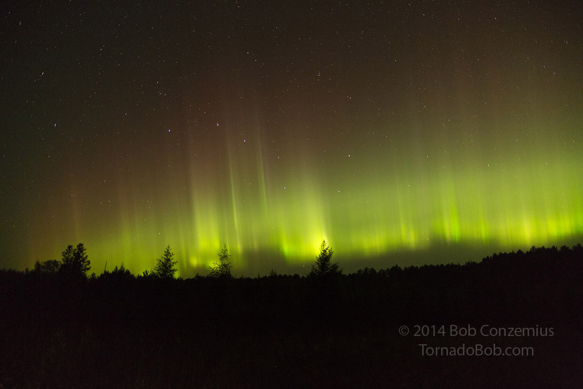 Nice Auroras