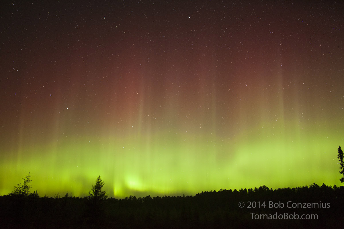 Nice Auroras