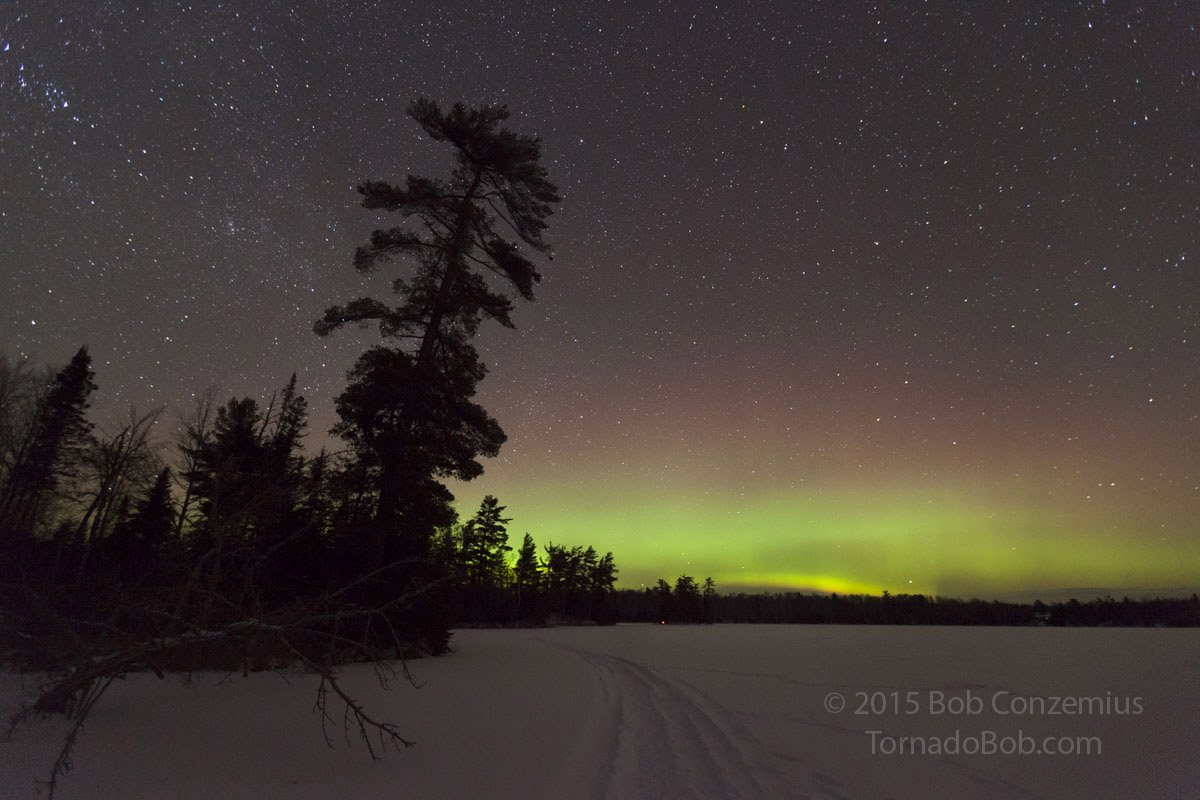 Nice Auroras