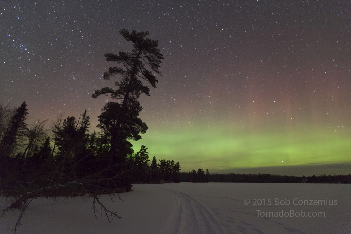 Nice Auroras