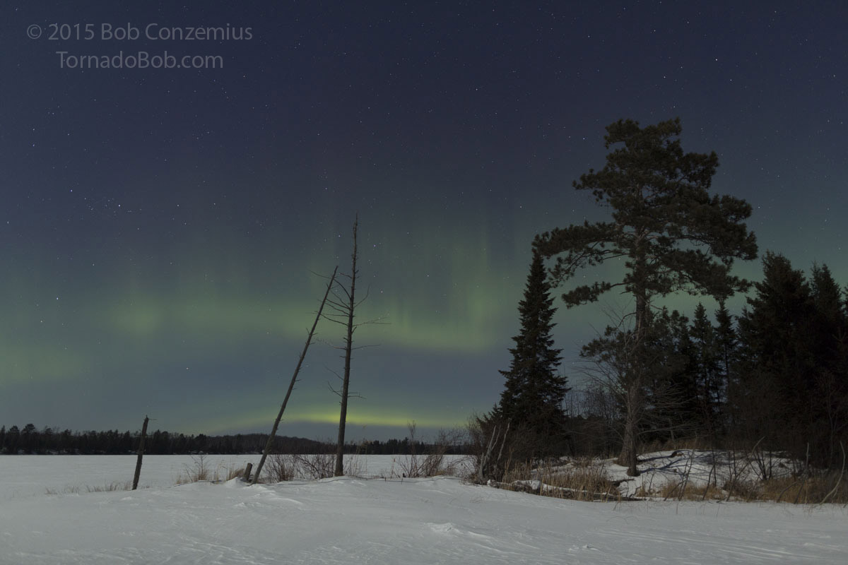 Nice Auroras