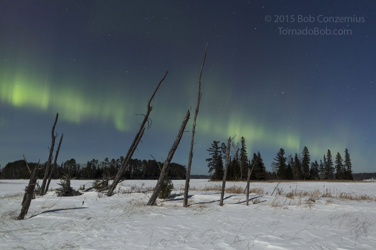 Nice Auroras