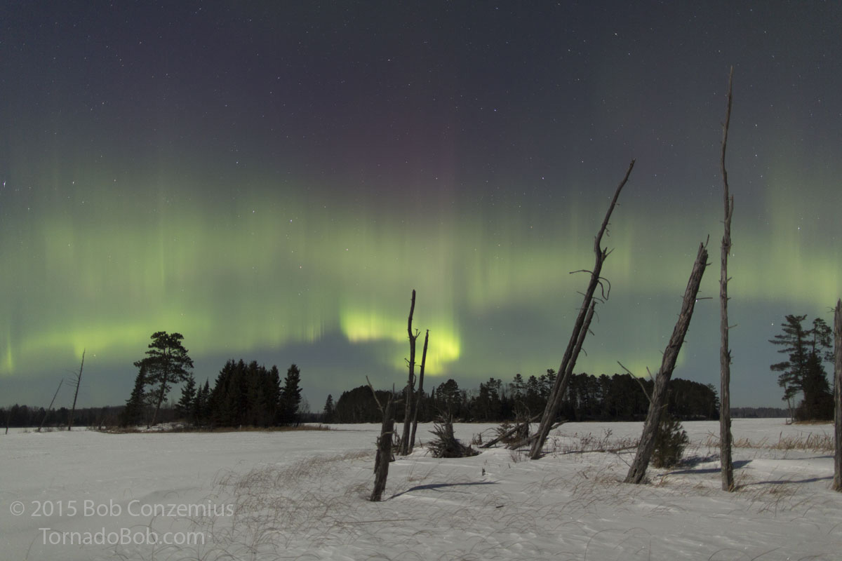 Nice Auroras