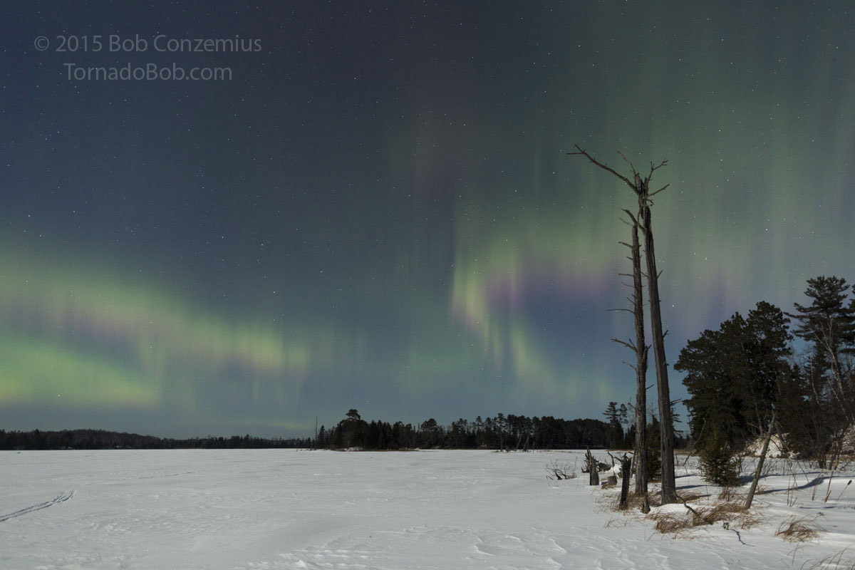 Nice Auroras