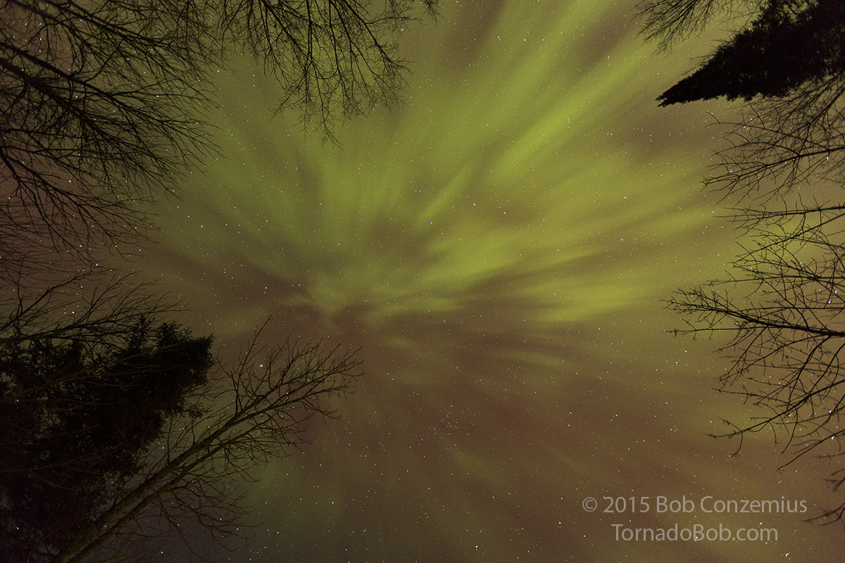 Nice Auroras