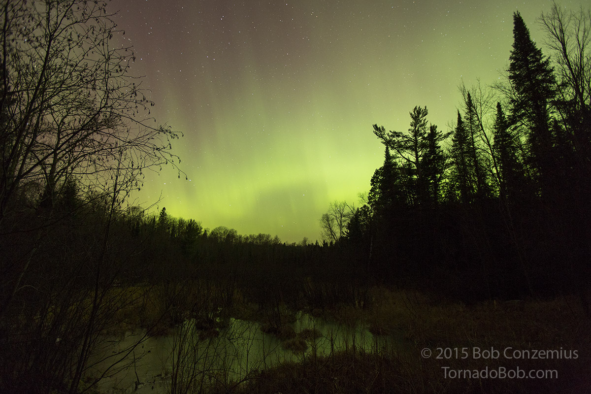 Nice Auroras