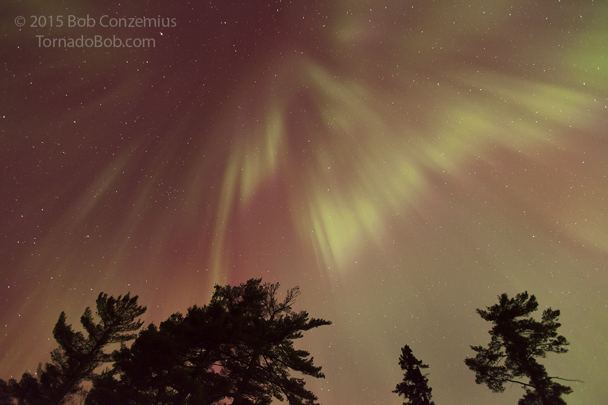 Nice Auroras