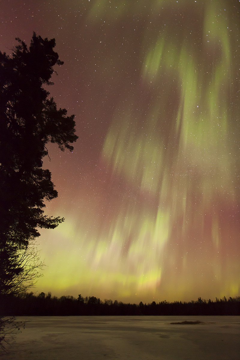 Nice Auroras