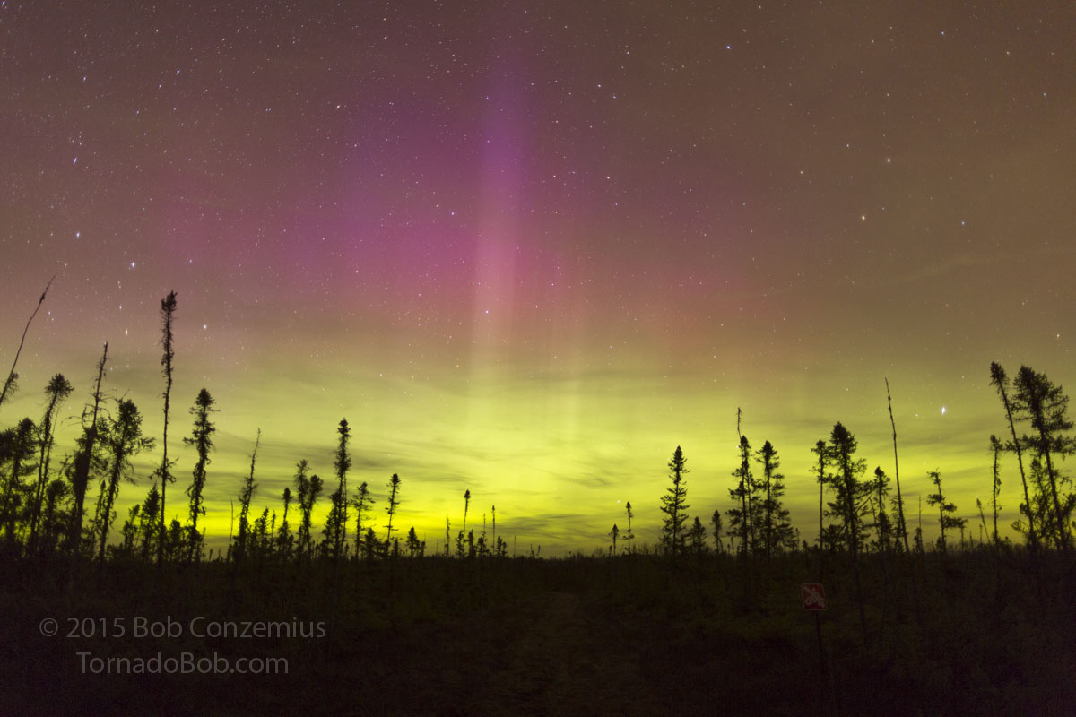 Nice Auroras