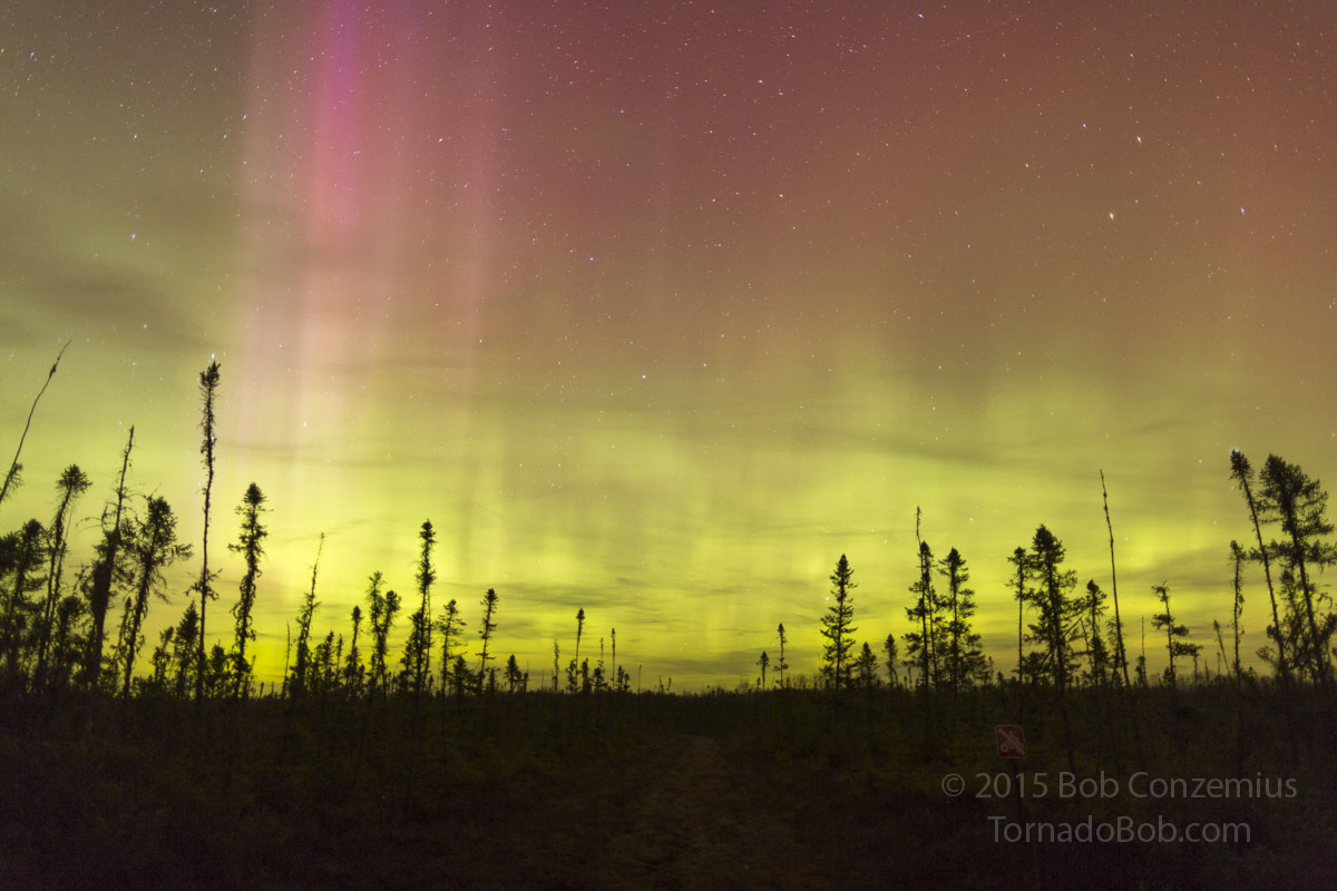Nice Auroras