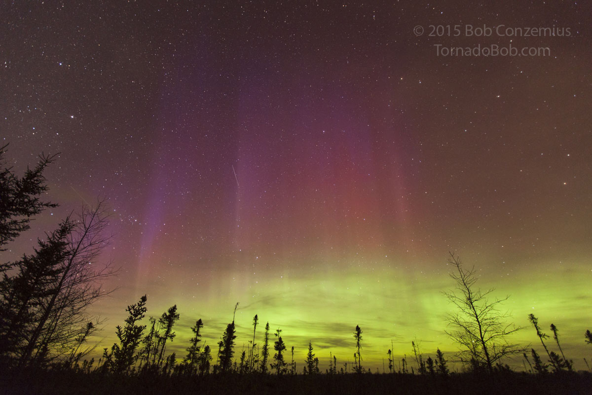 Nice Auroras