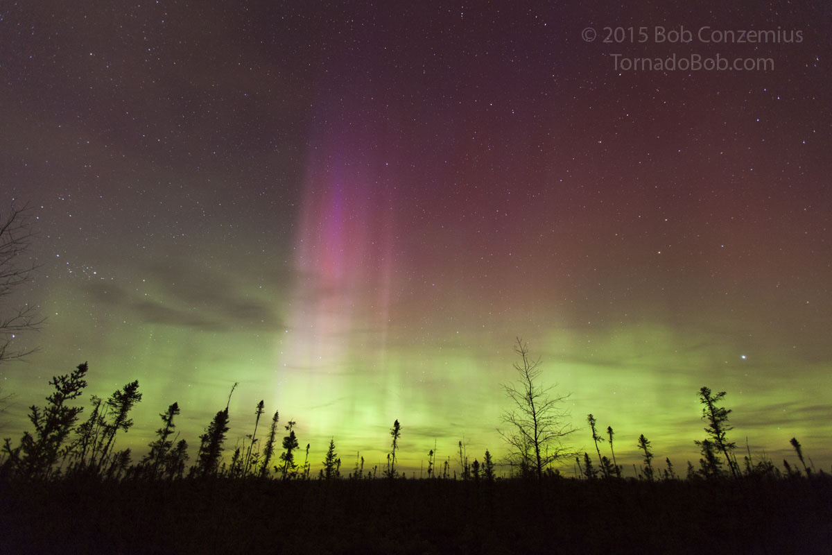 Nice Auroras