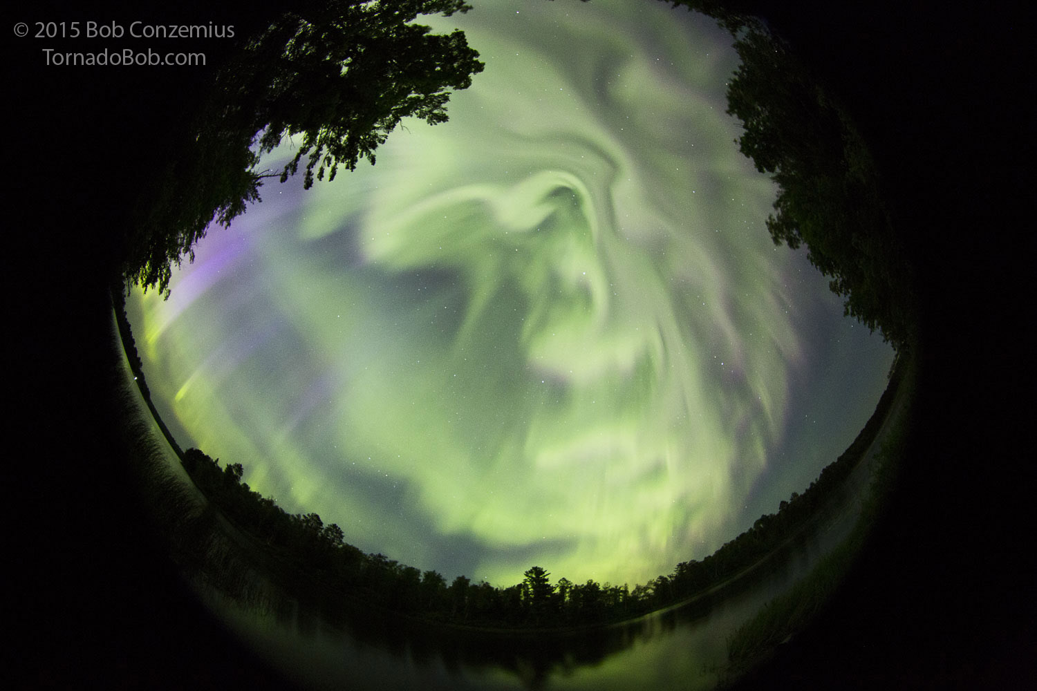 Nice Auroras
