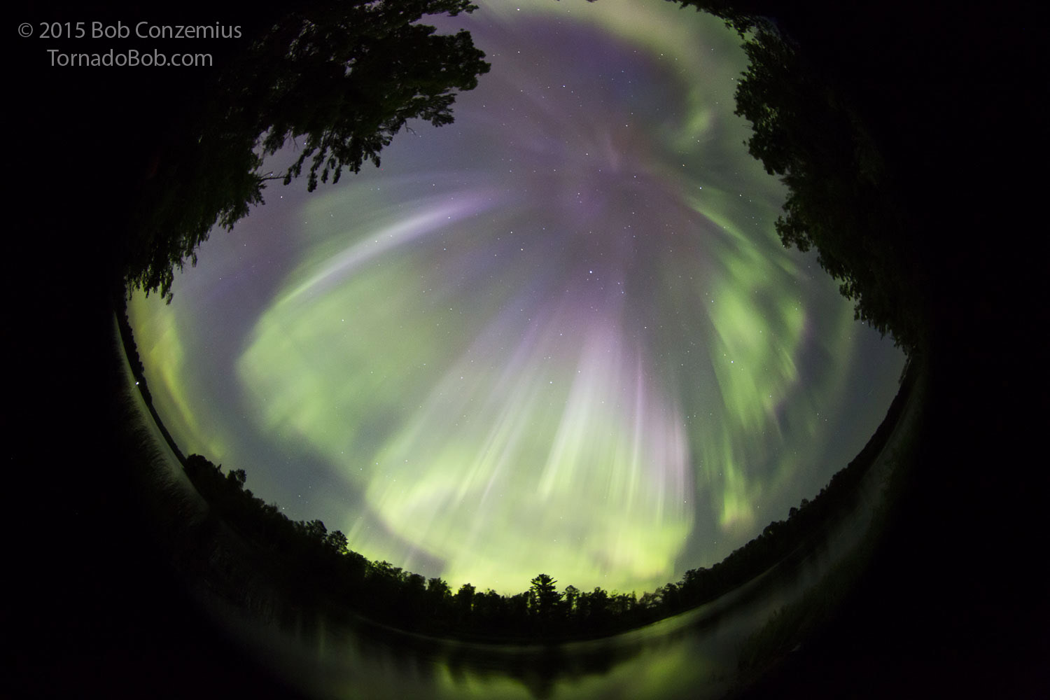 Nice Auroras