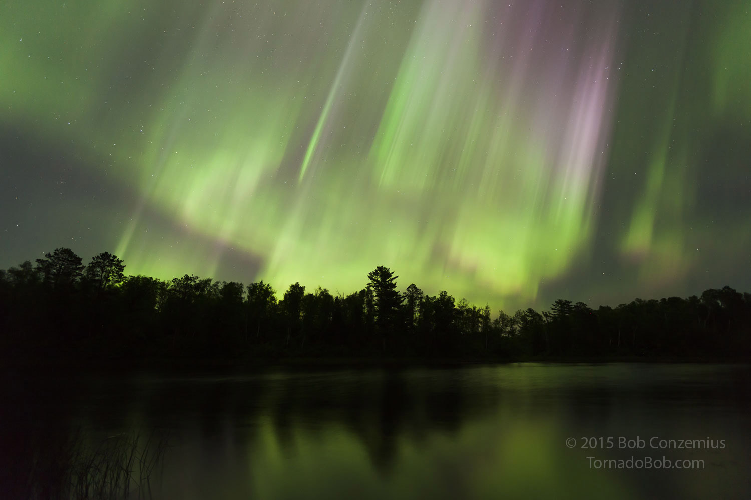 Nice Auroras