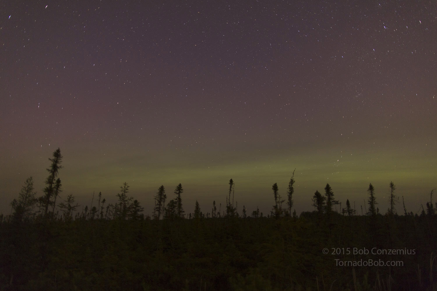 Nice Auroras