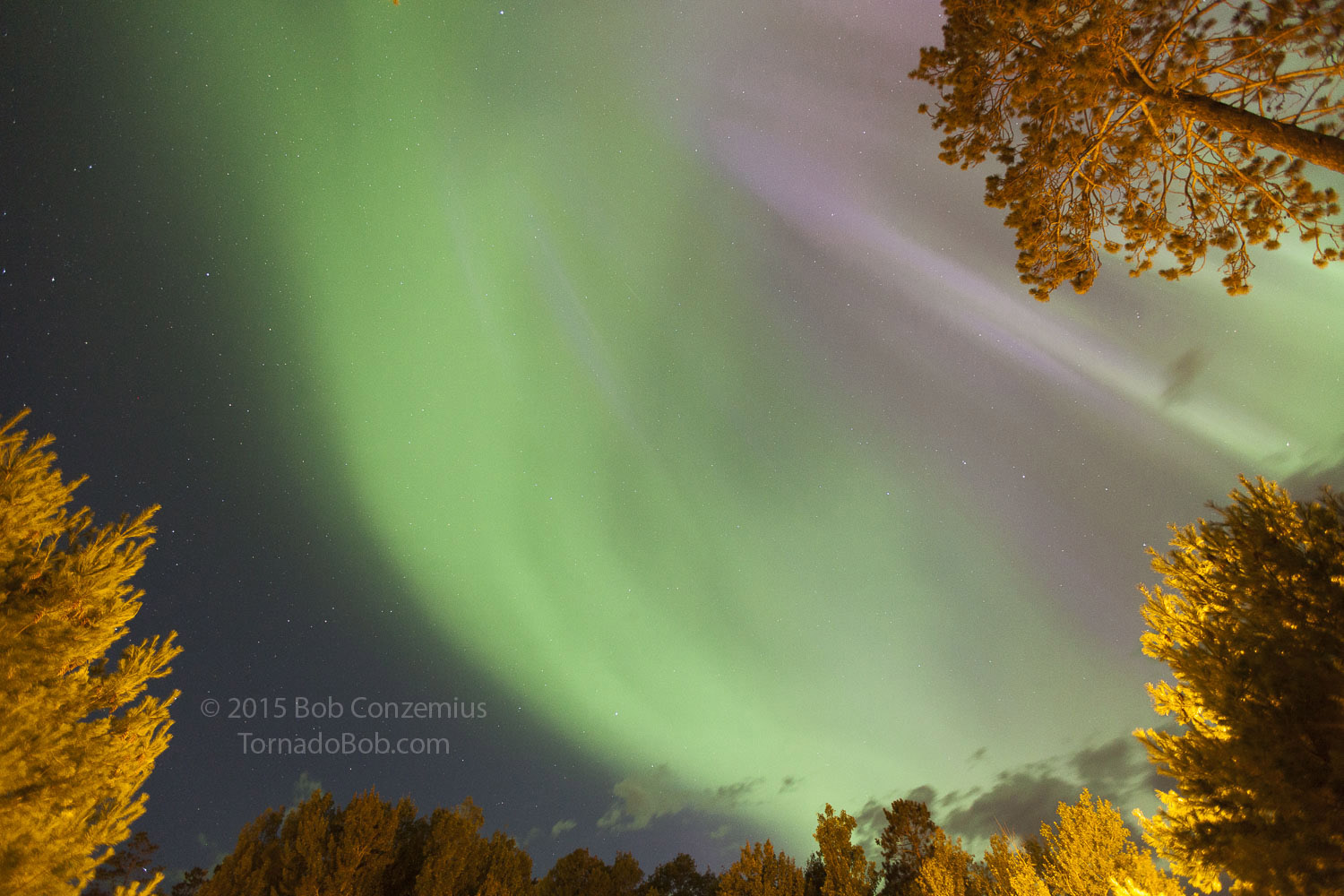Nice Auroras