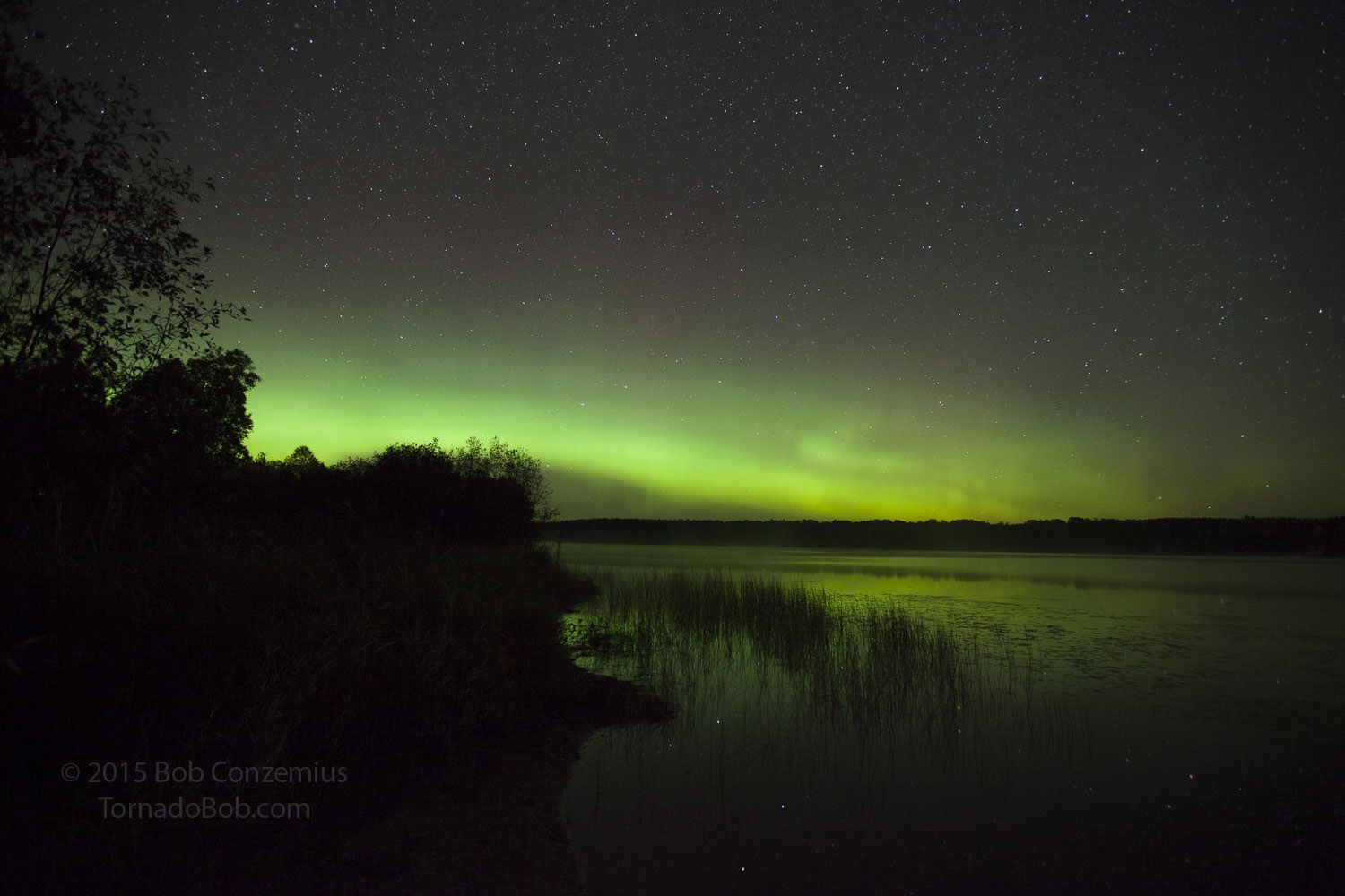 Nice Auroras