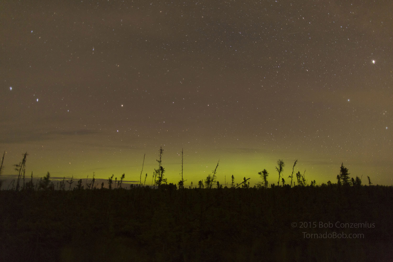 Nice Auroras