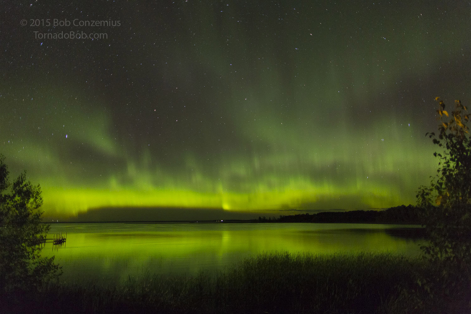 Nice Auroras