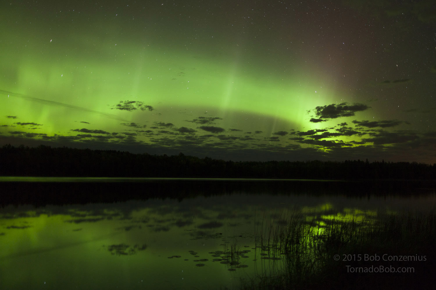 Nice Auroras