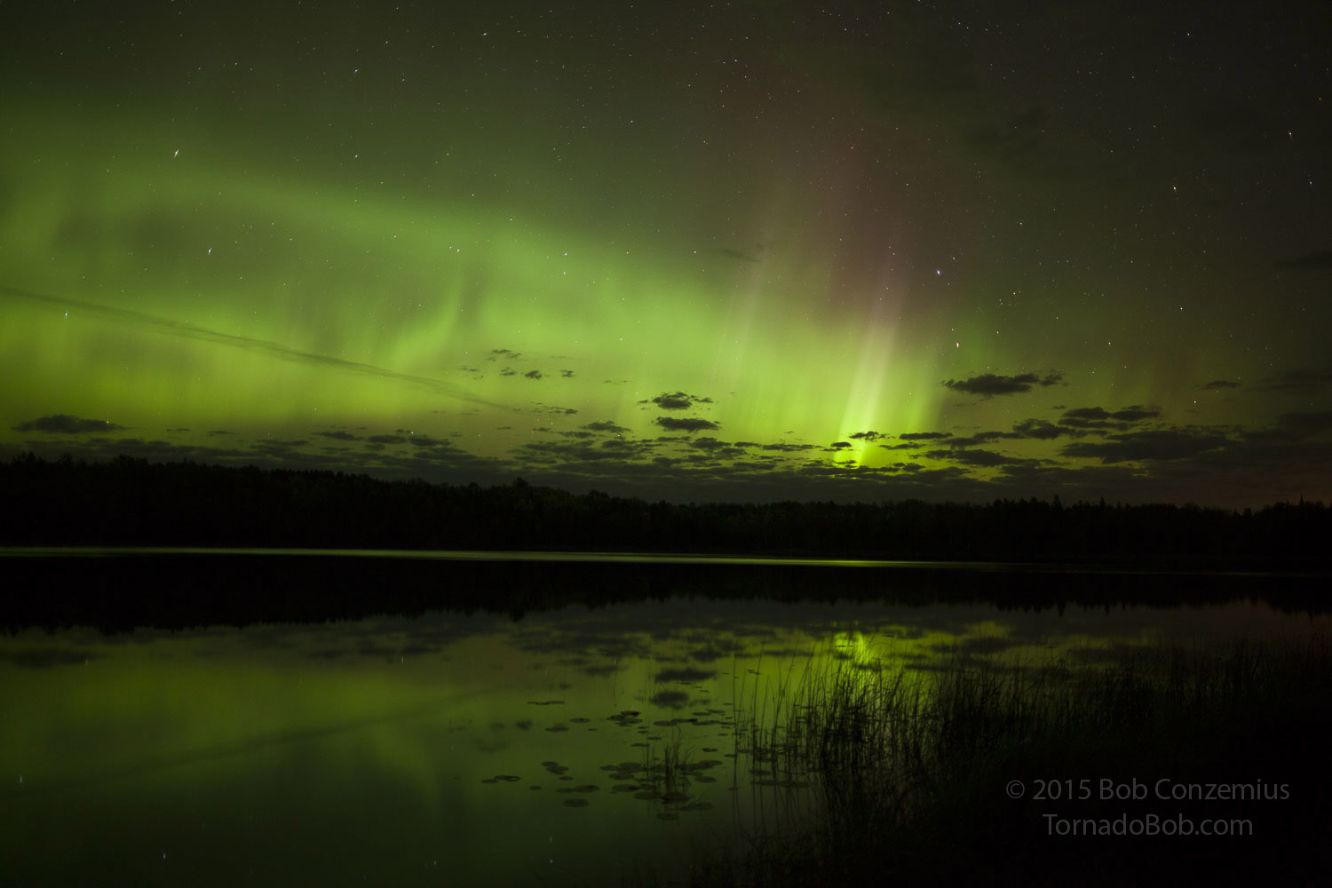 Nice Auroras