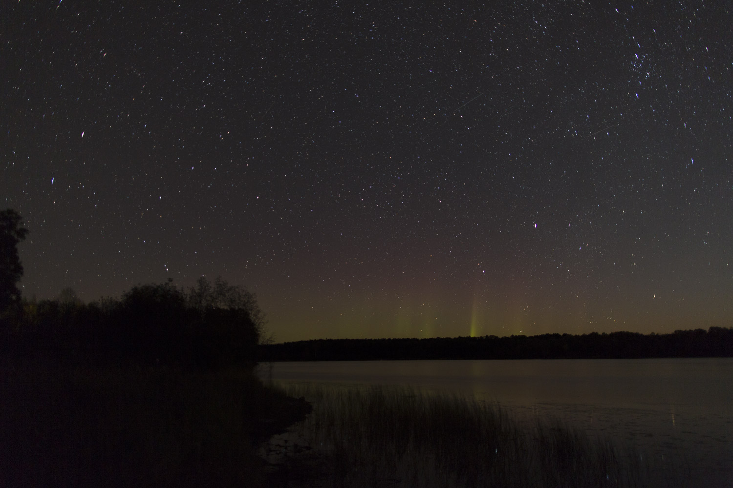 Nice Auroras