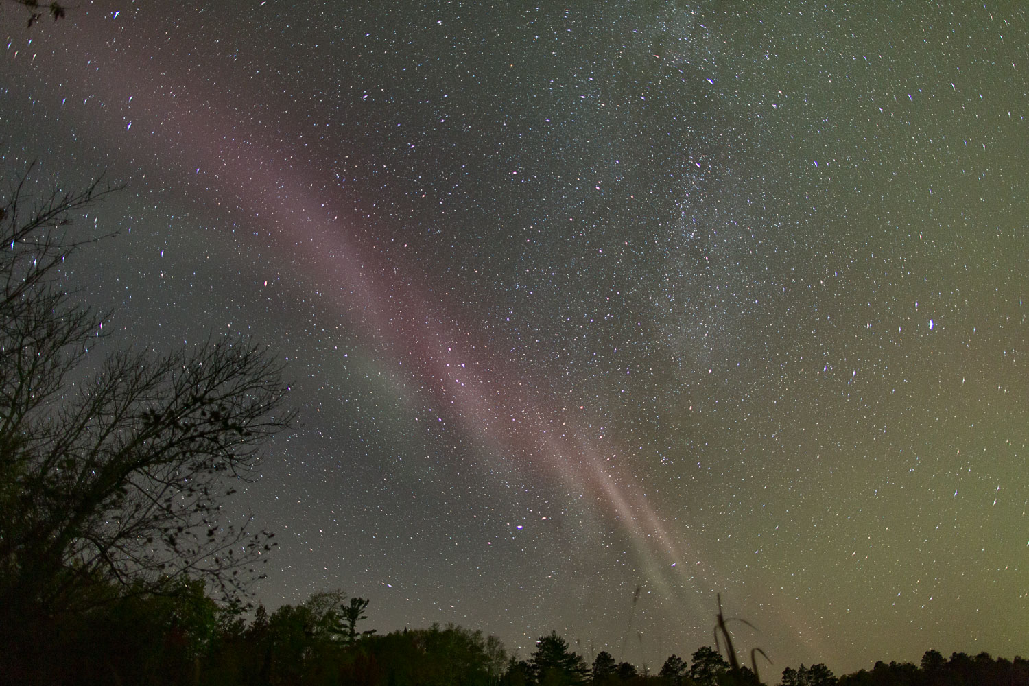 Nice Auroras