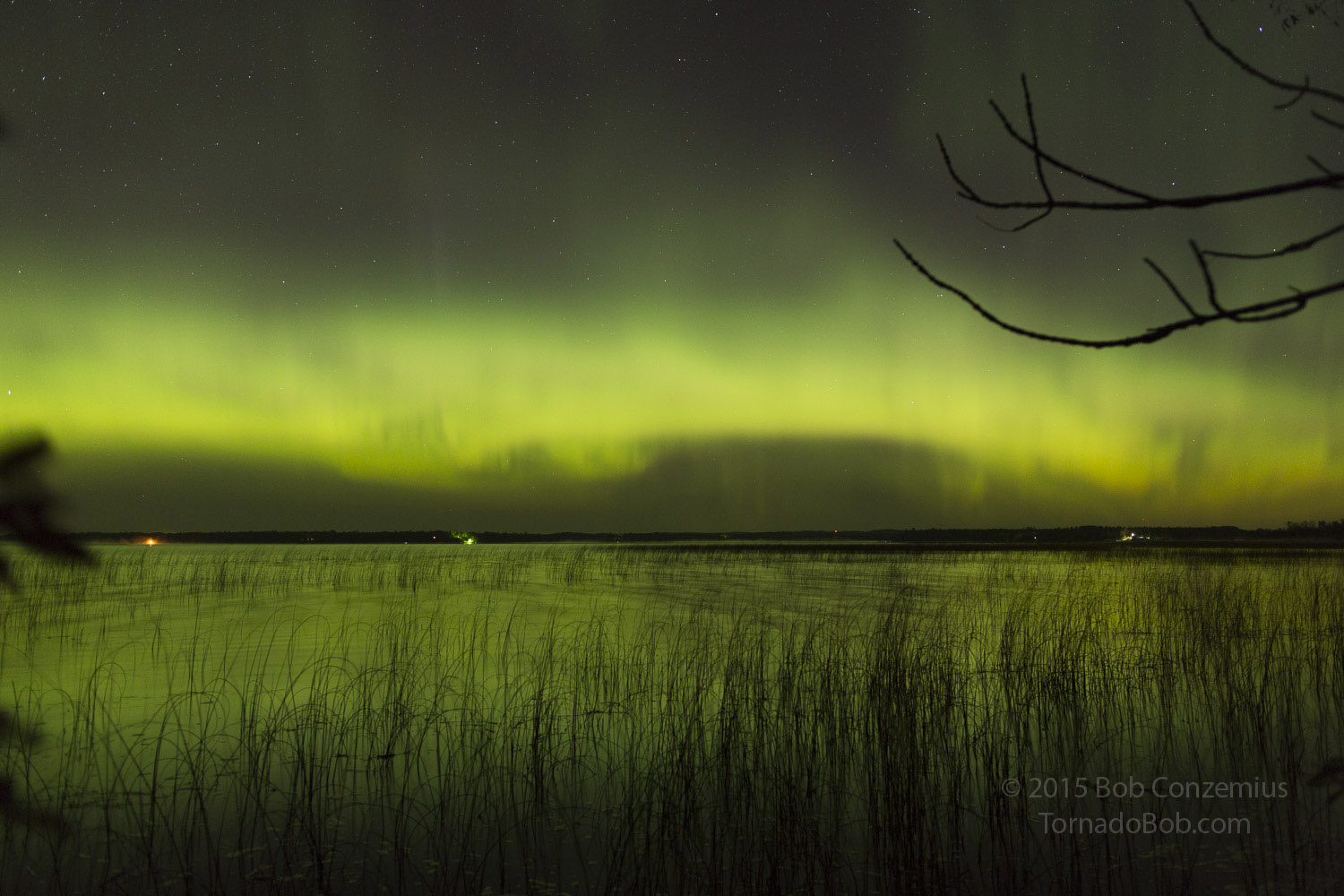 Nice Auroras