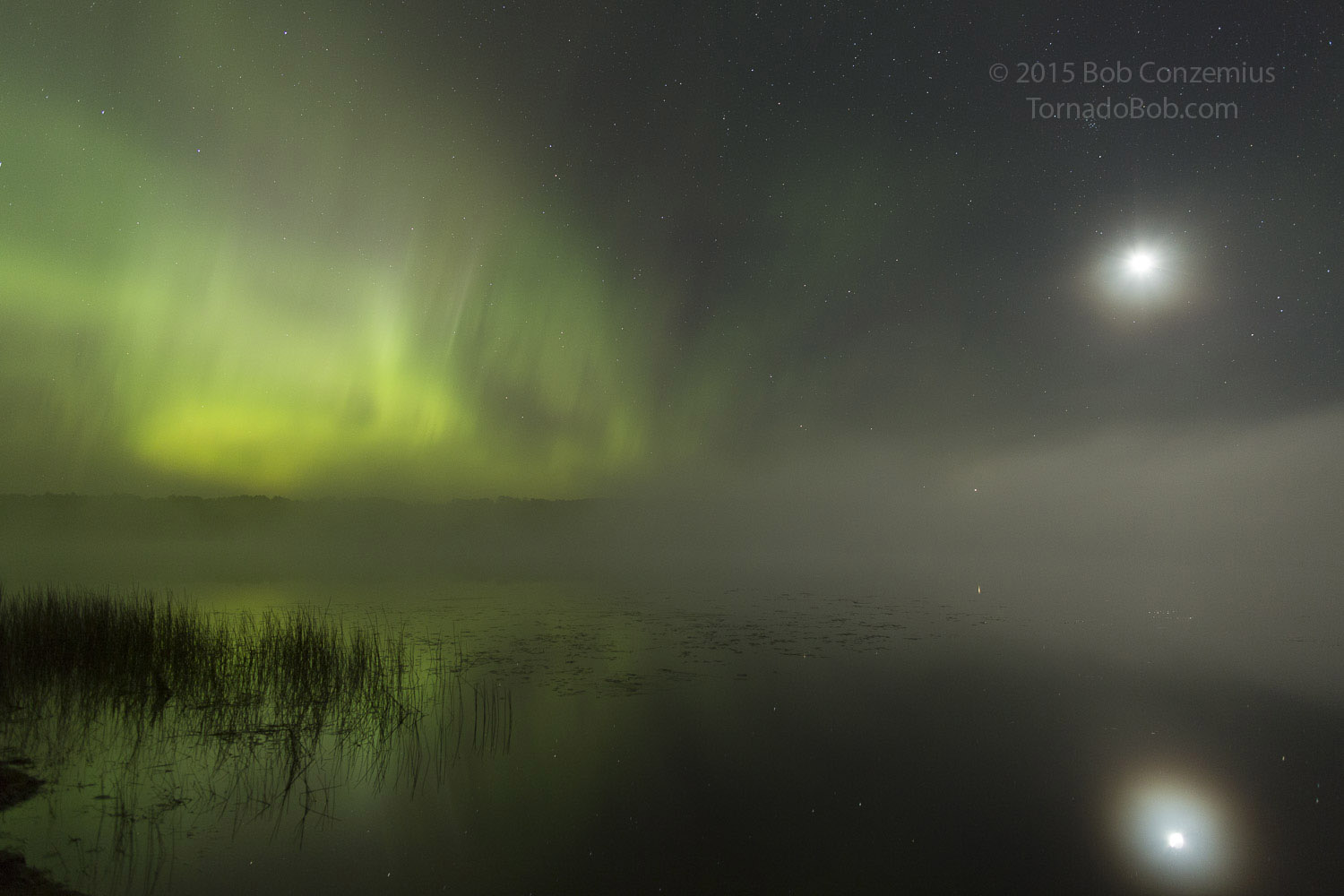 Nice Auroras