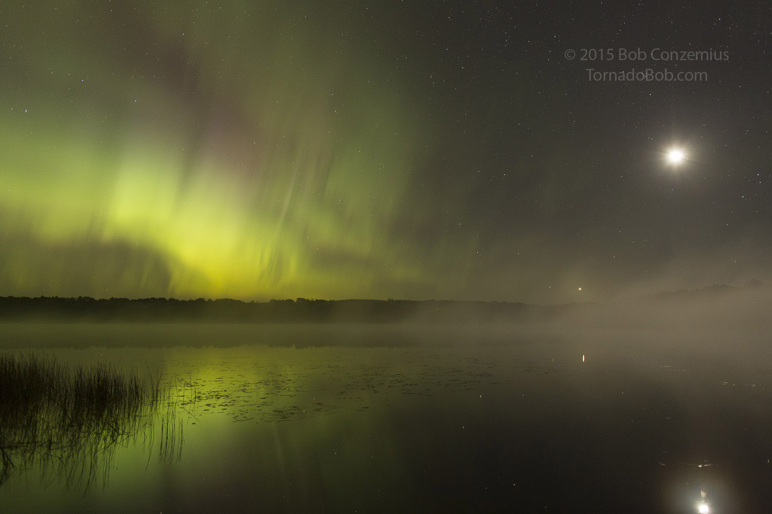 Nice Auroras
