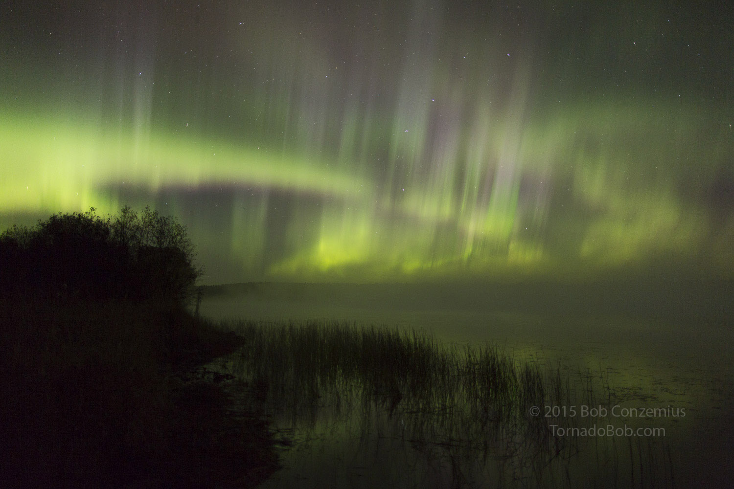 Nice Auroras