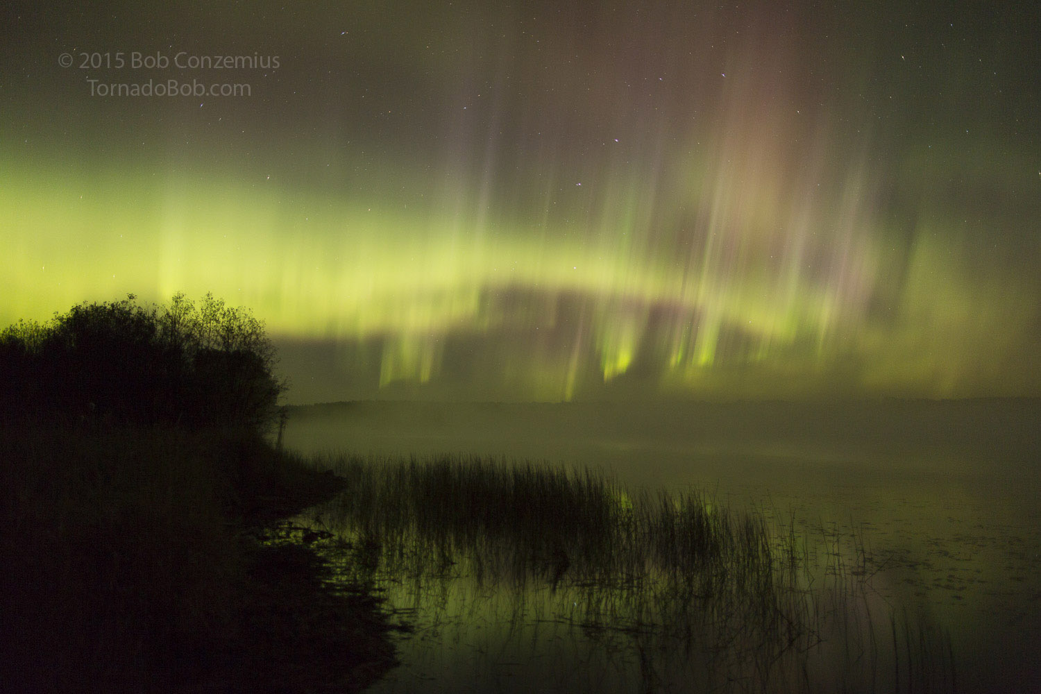 Nice Auroras
