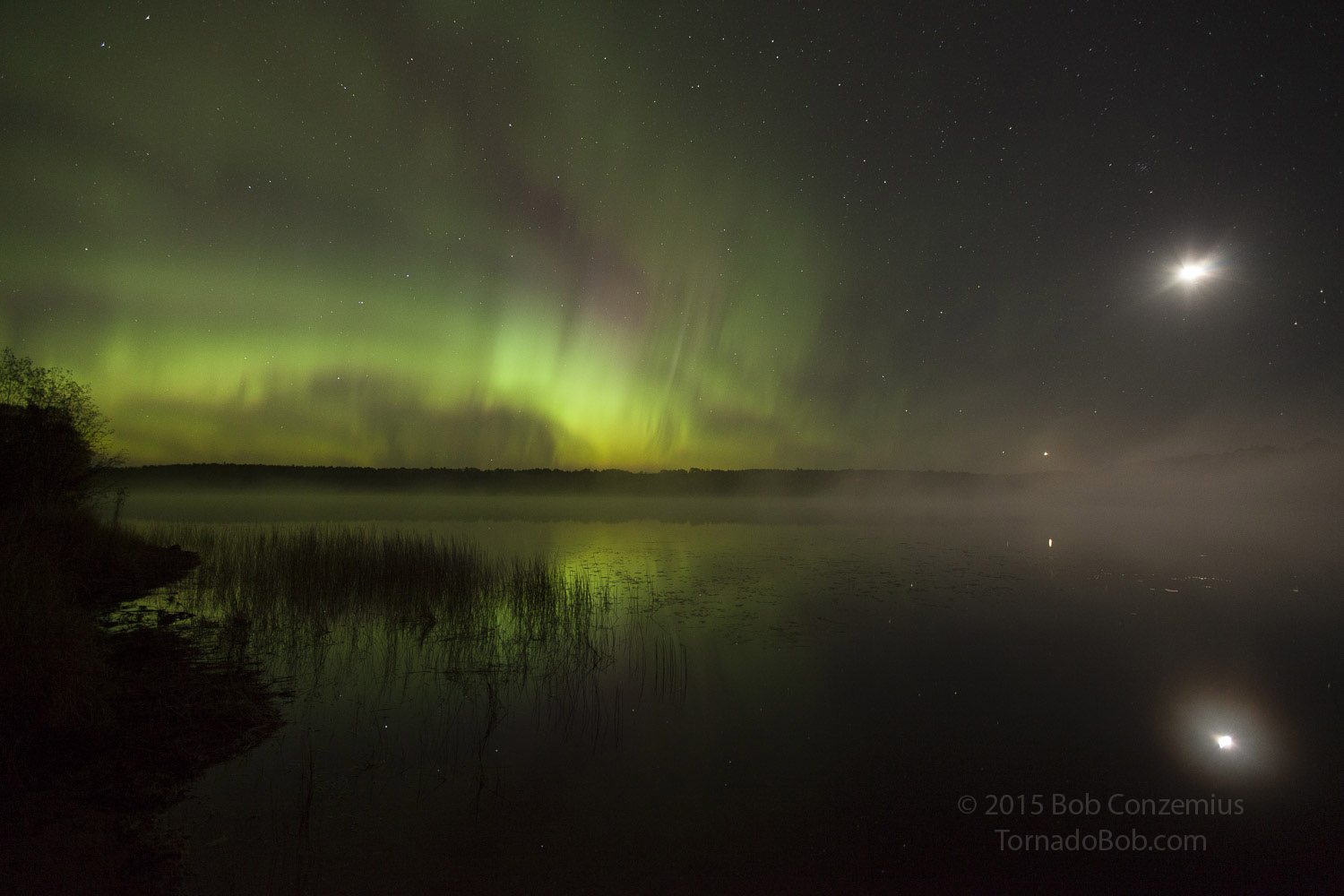 Nice Auroras