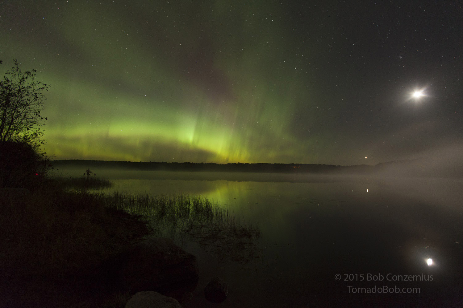 Nice Auroras