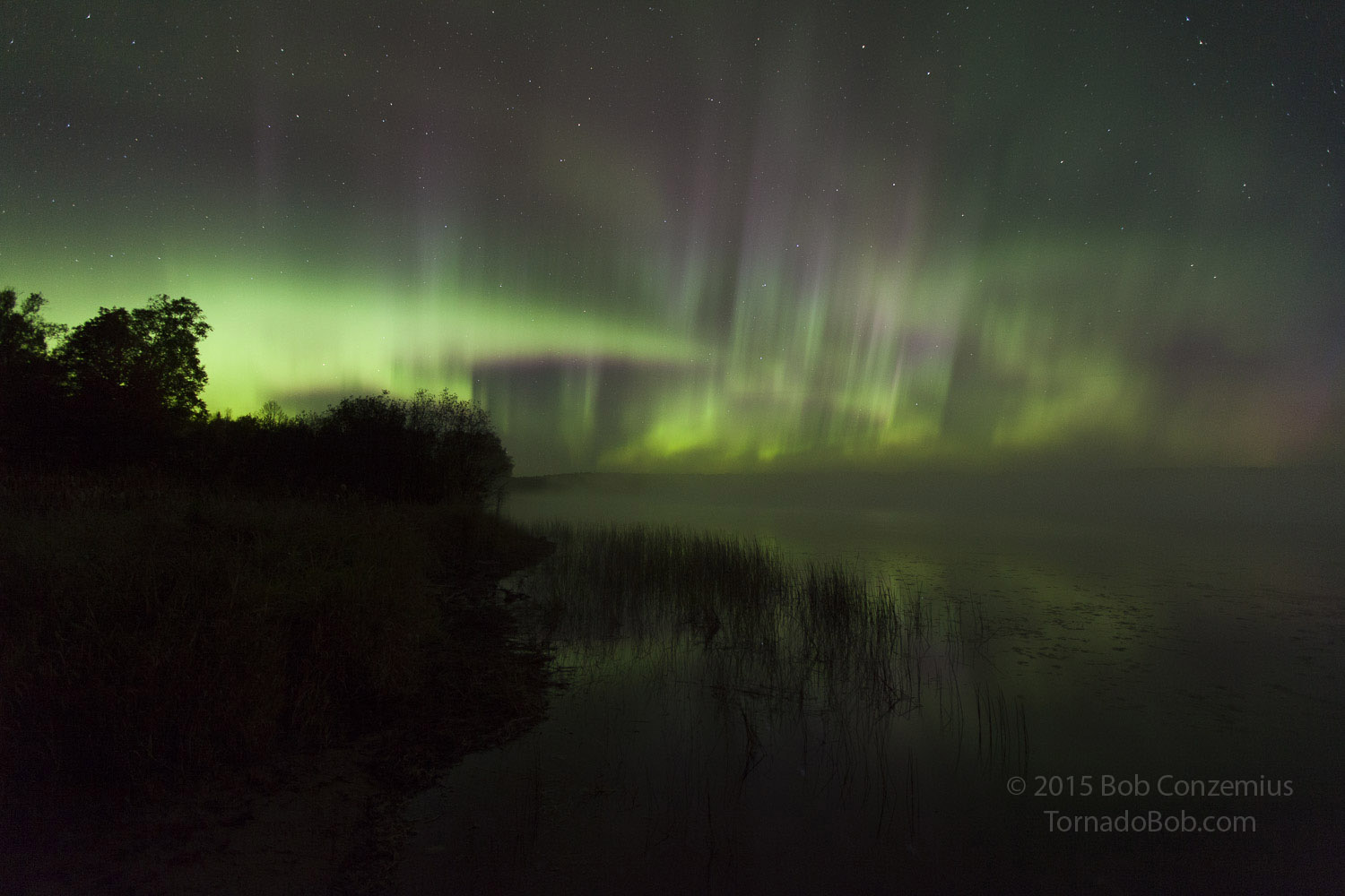 Nice Auroras