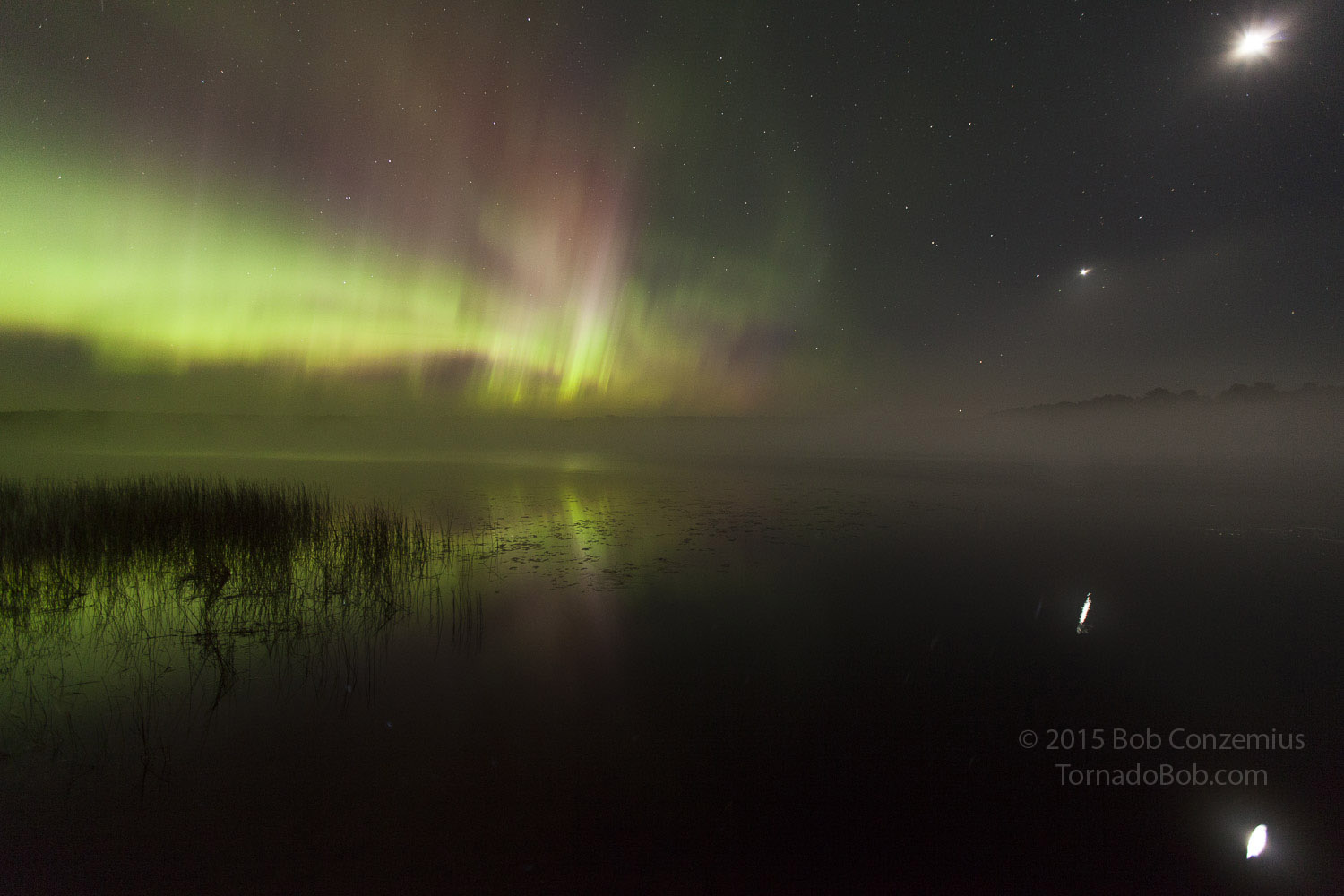 Nice Auroras