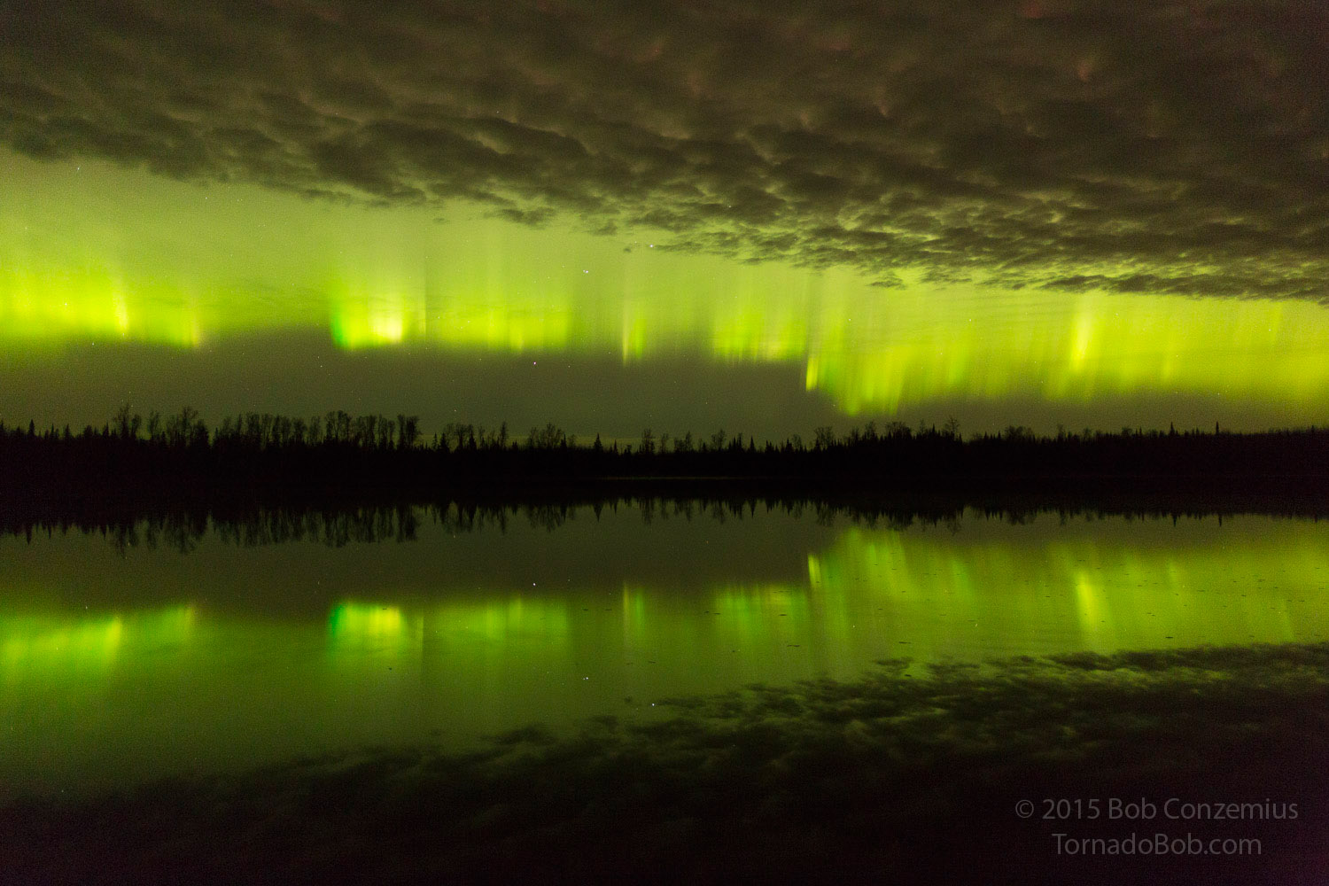 Nice Auroras