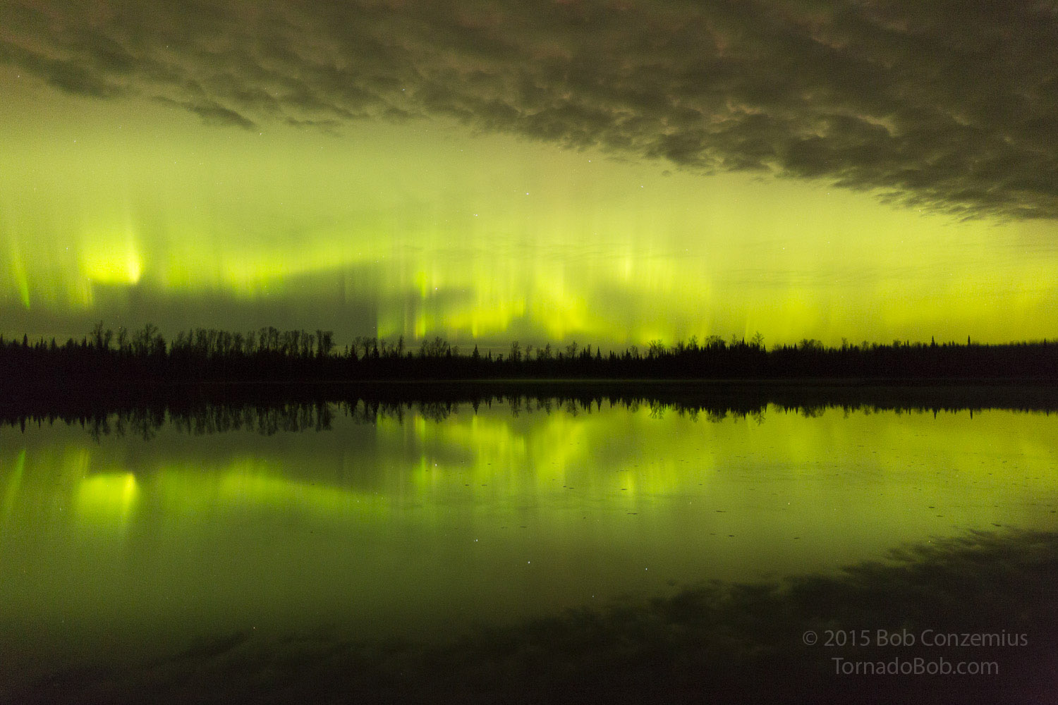 Nice Auroras