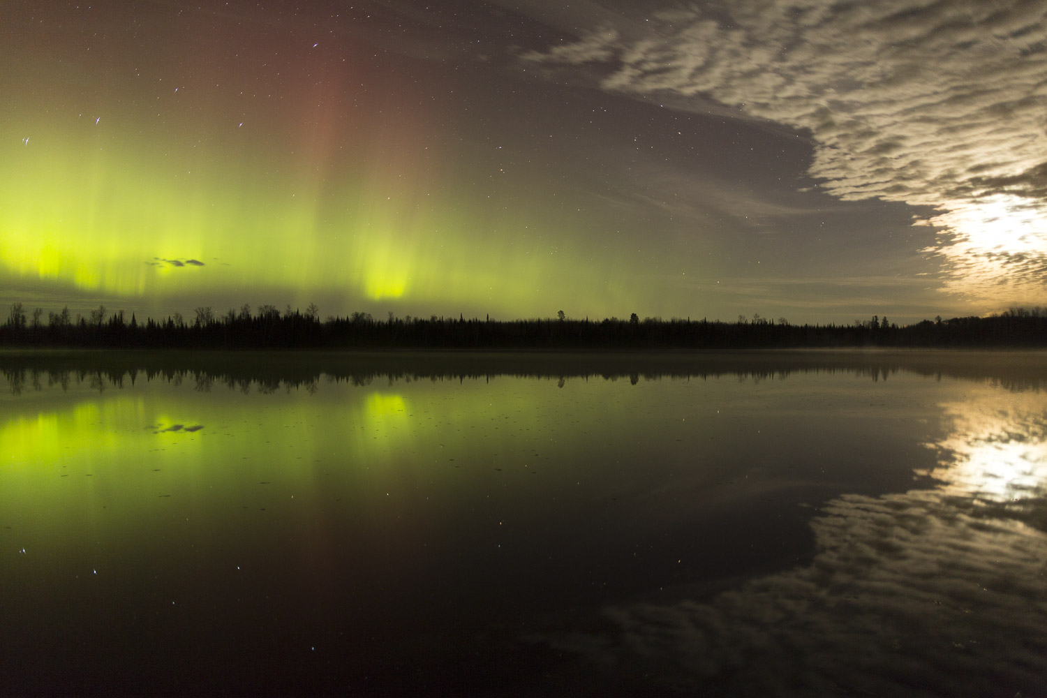 Nice Auroras