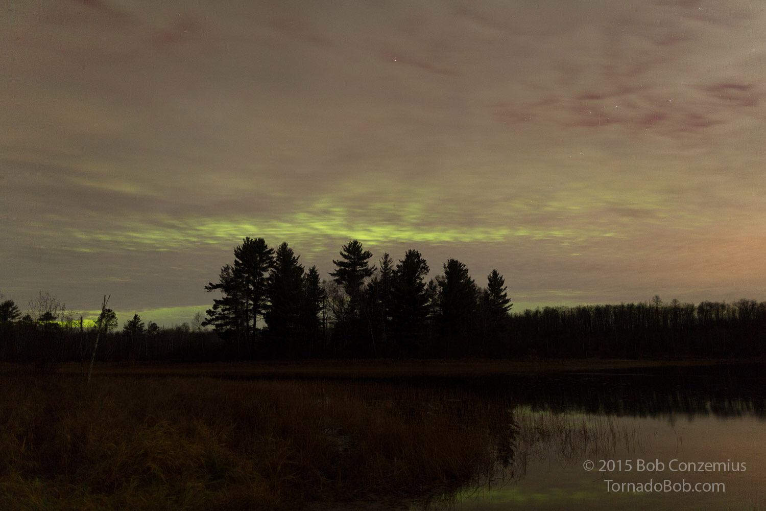 Nice Auroras
