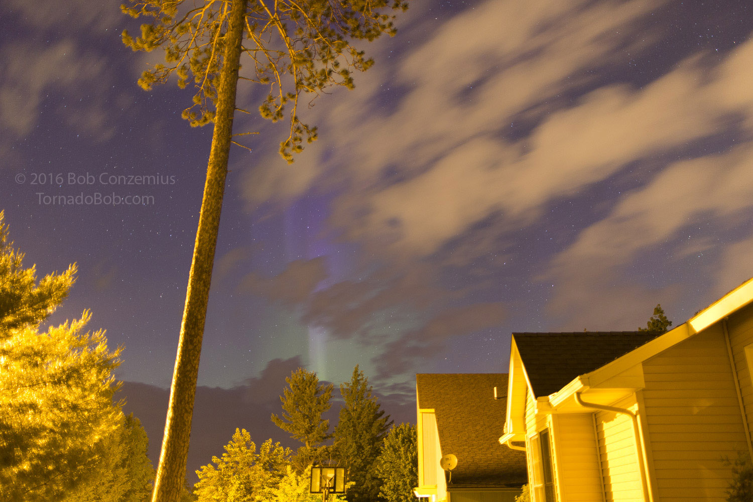 Nice Auroras