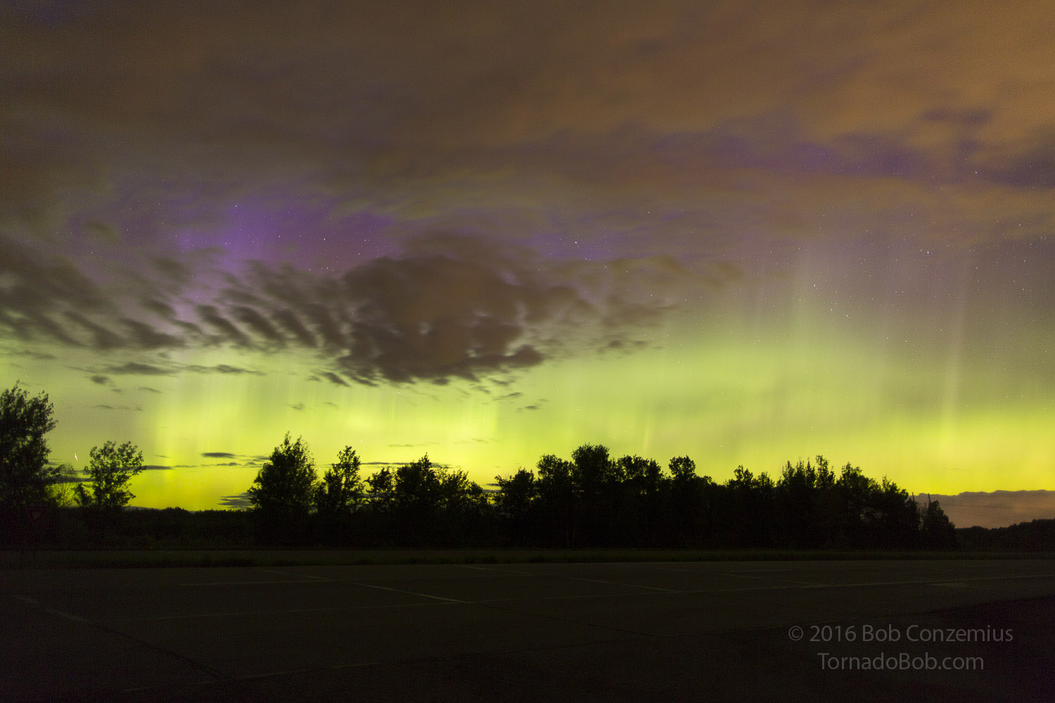 Nice Auroras