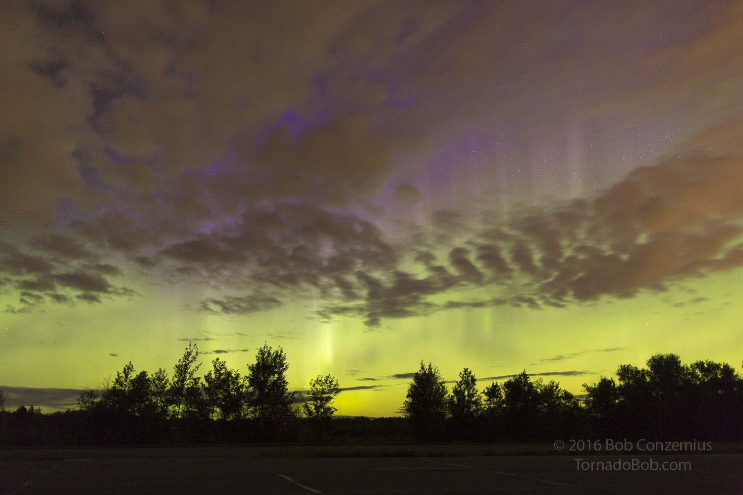 Nice Auroras